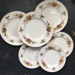 Vintage 1950s Crown Ducal Festival Pattern Plates - Set of 6 - Made in England