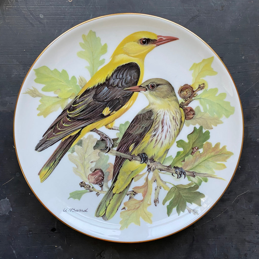 Vintage Oriole Bird Plate - World Wildlife Fun Ursula Band Decorative Plate Series - Circa 1986 Limited Edition