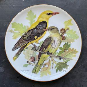 Vintage Oriole Bird Plate - World Wildlife Fun Ursula Band Decorative Plate Series - Circa 1986 Limited Edition