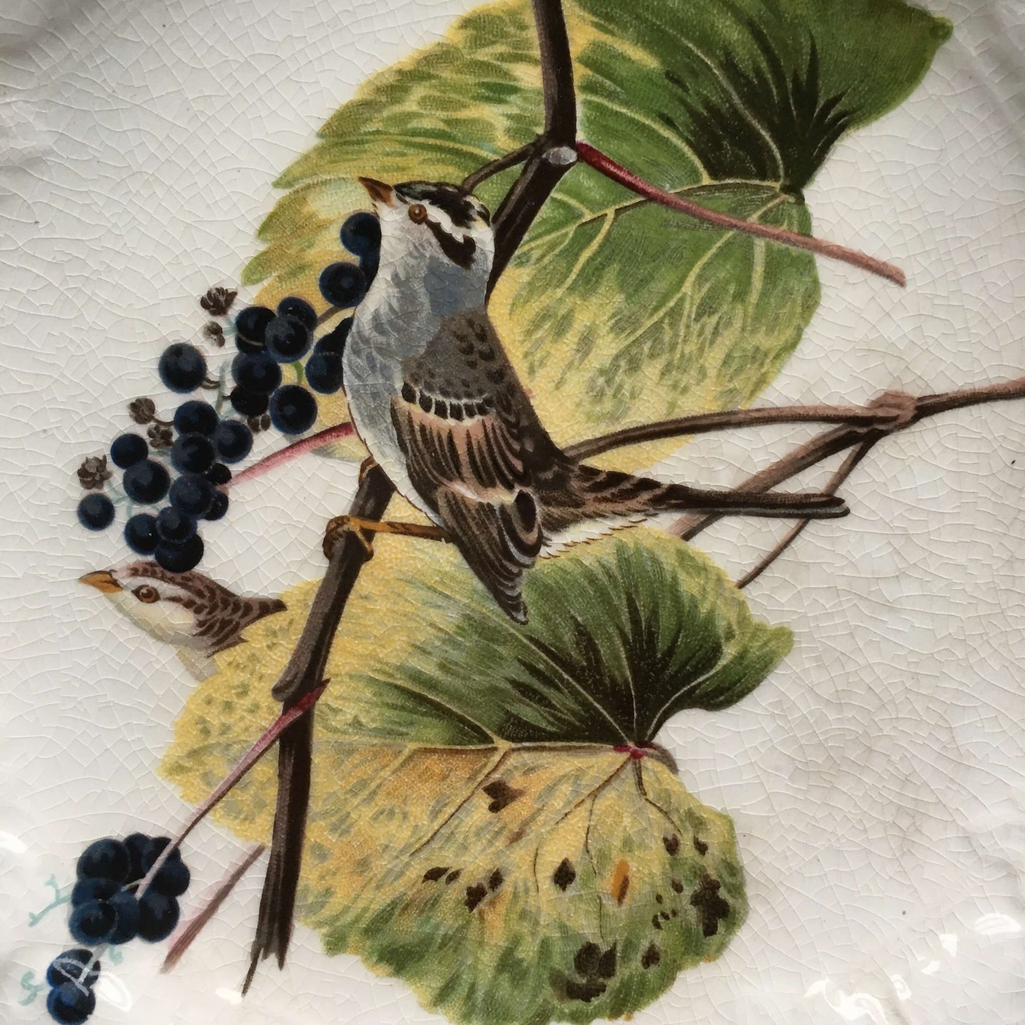 1940's Alfred Meakin Audubon Bird Plates - Set of Two - John James Audubon Birds of America Luncheon Plates