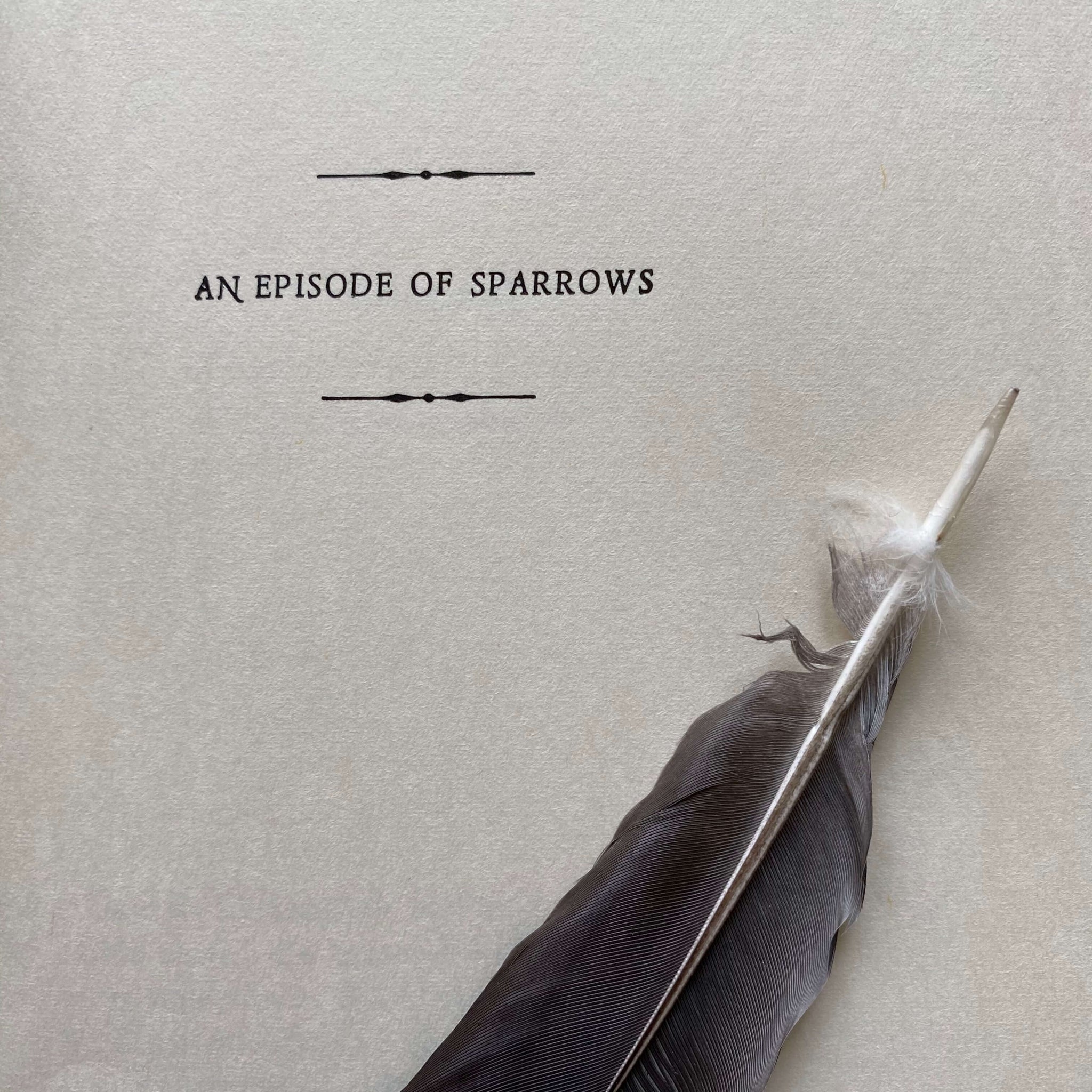 An Episode of Sparrows - Rumer Godden - 1965 Edition Sixth Printing