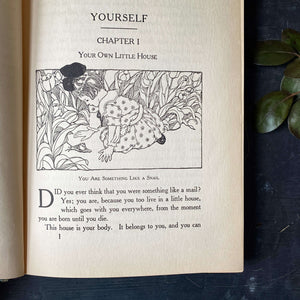 Antique Children's Self-Care Book - Yourself and Your House Wonderful by H.A. Guerber circa 1913