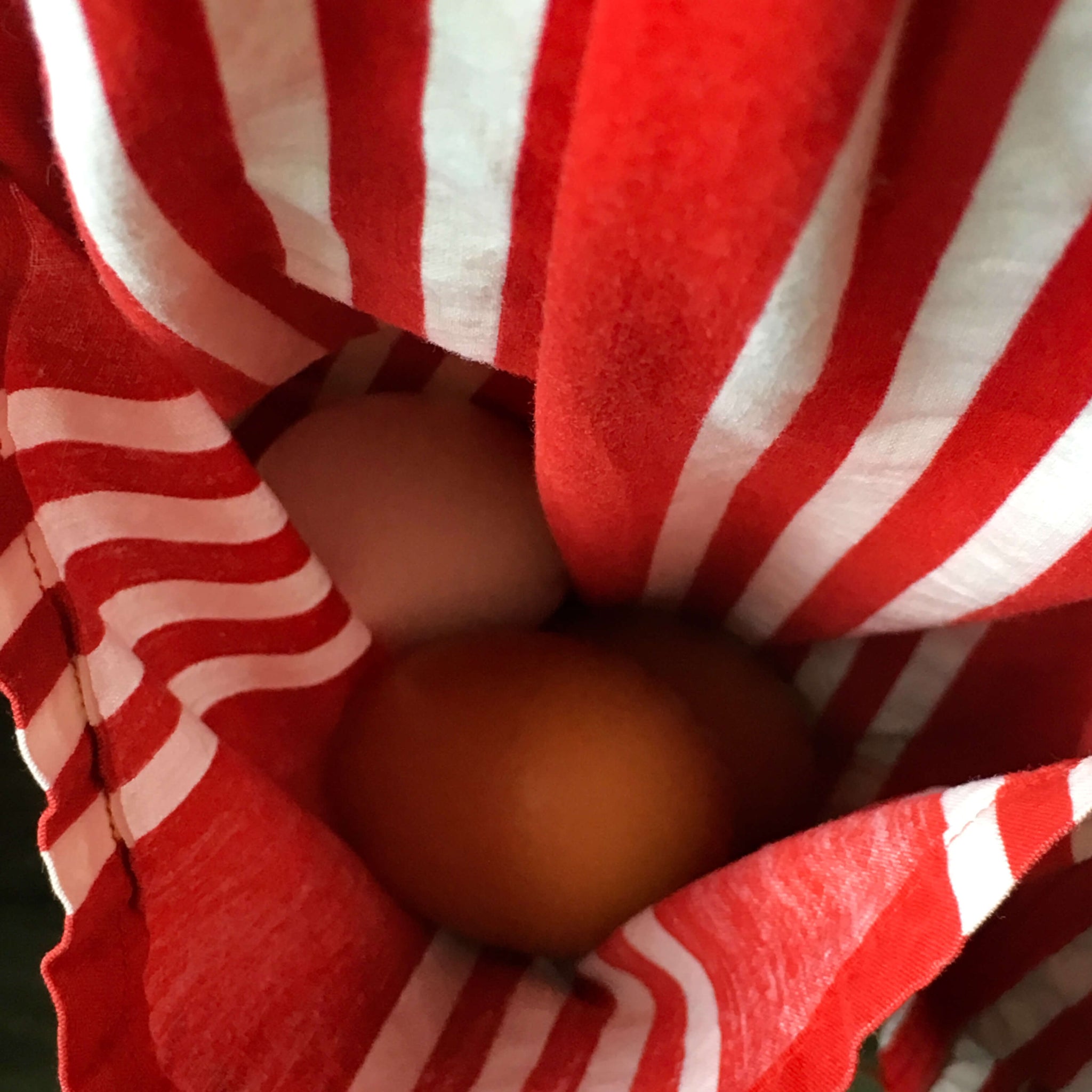 Vintage Red and White Striped Half Apron for Egg Gathering and Vegetable Harvest