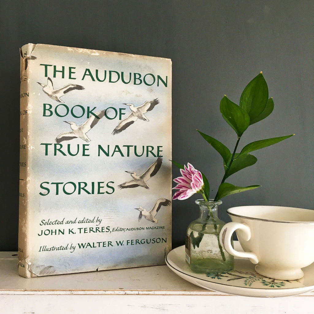 Vintage 1950s audubon bird book and nature stories 