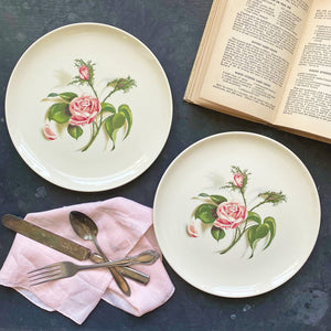Vintage 1950s Universal Ballerina Luncheon Plates - Moss Rose Pattern - Set of Two