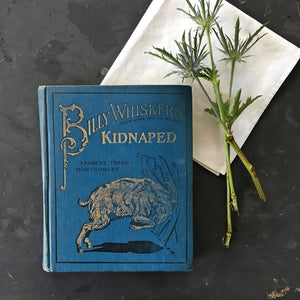 Antique Children's Book - Billy Whiskers Kidnapped by Frances Trego Montgomery - 1910