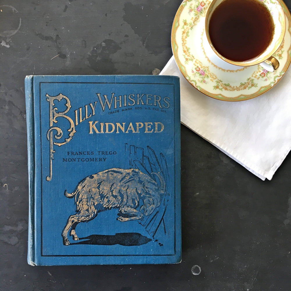 Antique Children's Book - Billy Whiskers Kidnapped by Frances Trego Montgomery - 1910