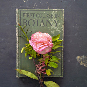 First Course in Botany - Raymond J. Pool & Arthur T. Evans - 1932 Edition