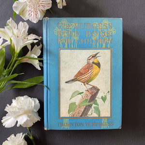 Rare 1920s Bird Book - The Burgess Bird Book for Children - 1925 Edition