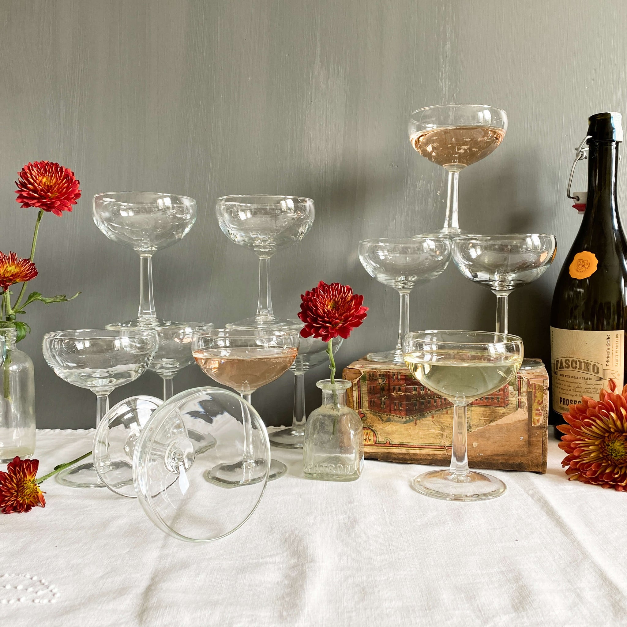 Vintage 1950s French Champagne Coupe Glasses - Set of 12 – In The Vintage  Kitchen Shop