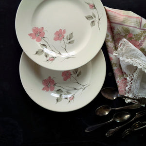 Edwin Knowles Dawn Rose Dinner Plates 1950s Dinnerware