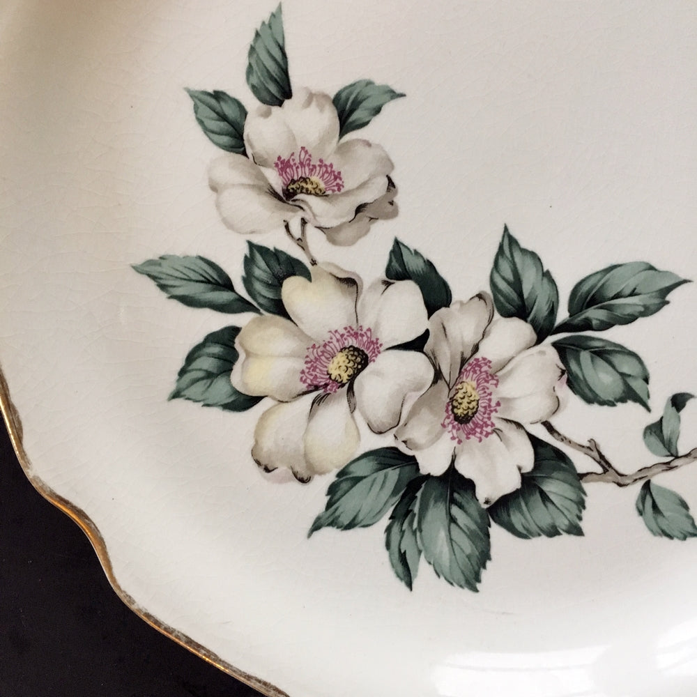 Vintage 1940's Sabin Dogwood Flower Luncheon Plates - Set of Two