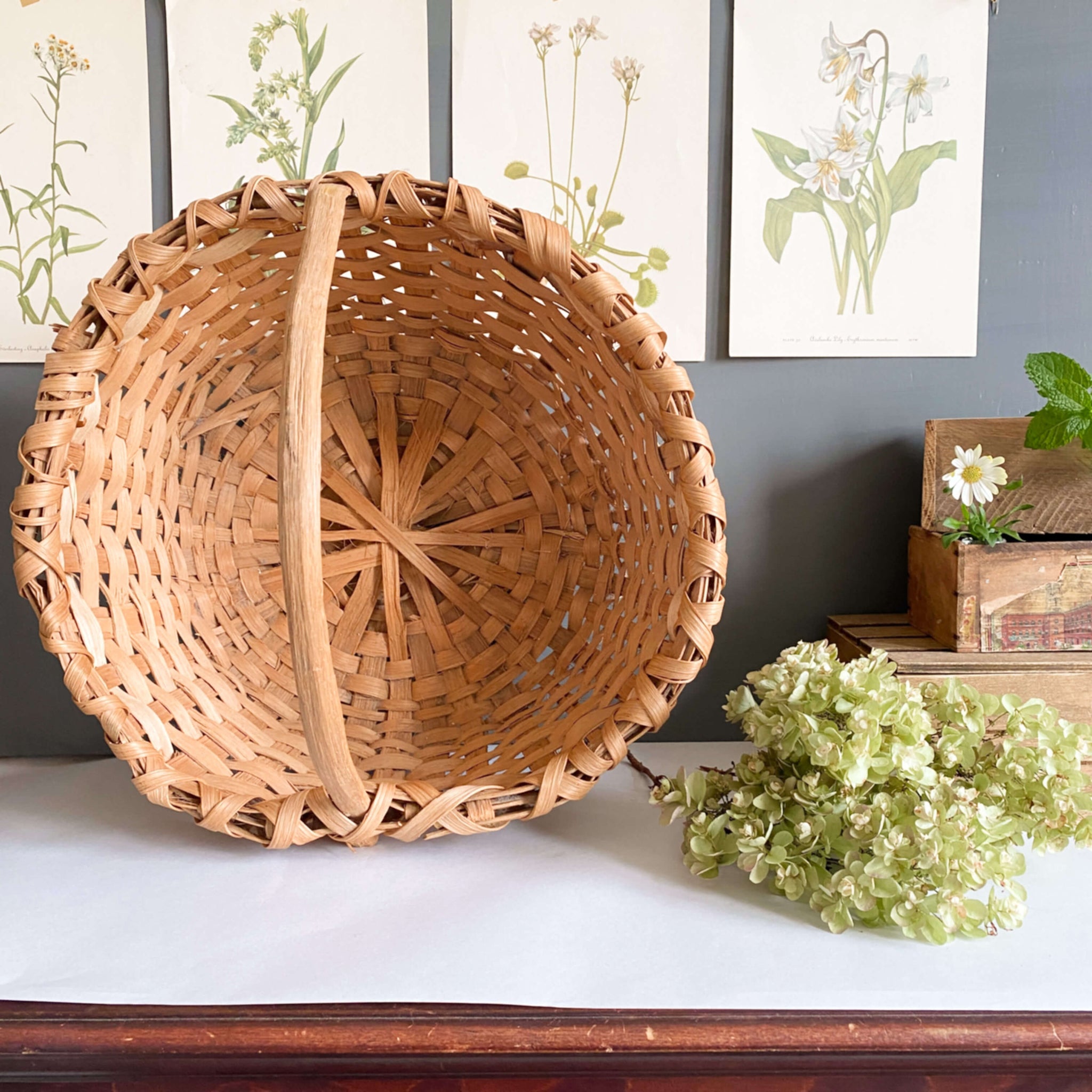 Primitive Handmade Split Oak Gathering Basket - 17x14
