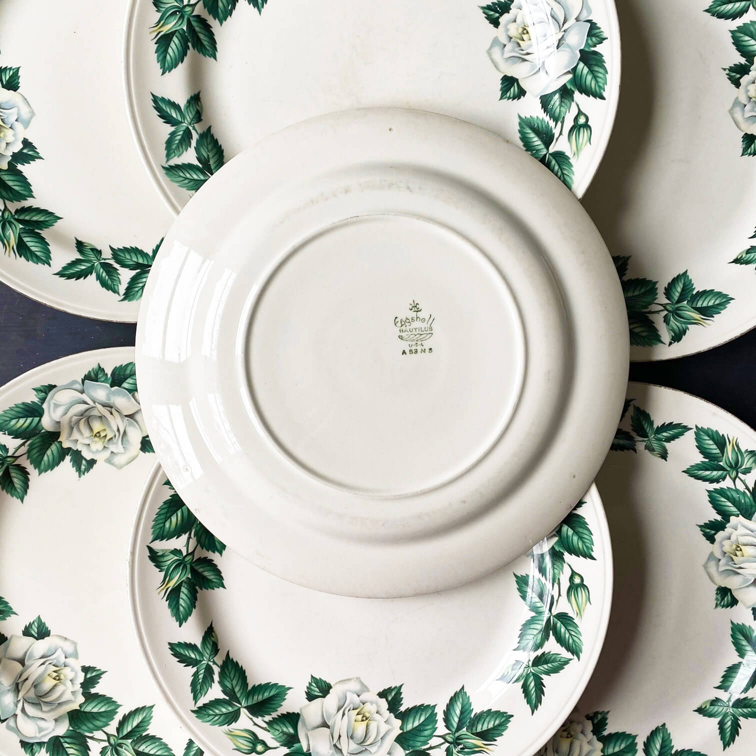 Vintage 1950s Homer Laughlin White Rose Dinner Plates - Set of 7 - Nassau Pattern Eggshell Nautlius circa 1953