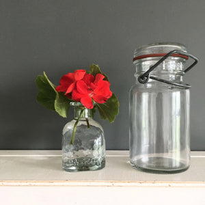 Vintage Canning Jar with Wire Bail Hinge - 1 and 1/4 Cup Capacity - RP-38 7 Fruit Jar Home Canning