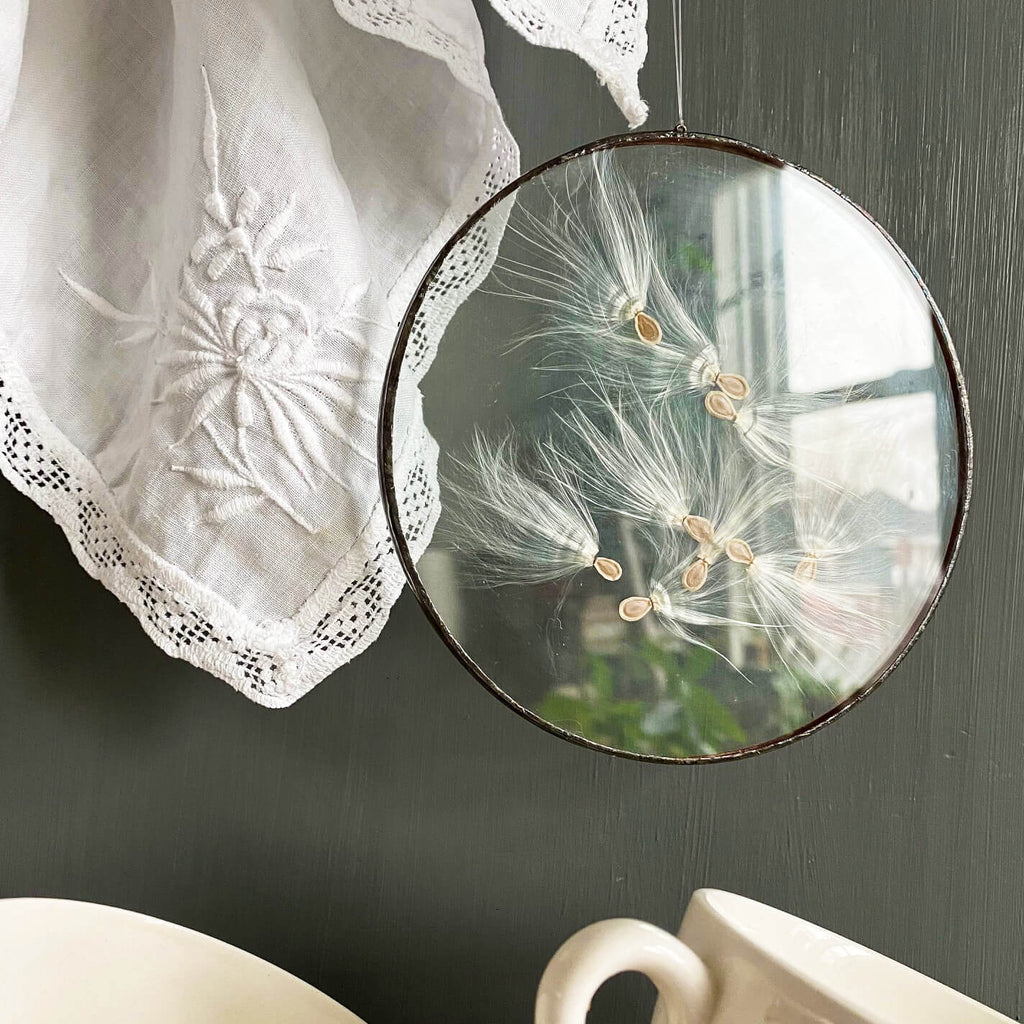 Milkweed Seed Suncatcher - Pressed Seed Heads Under Glass