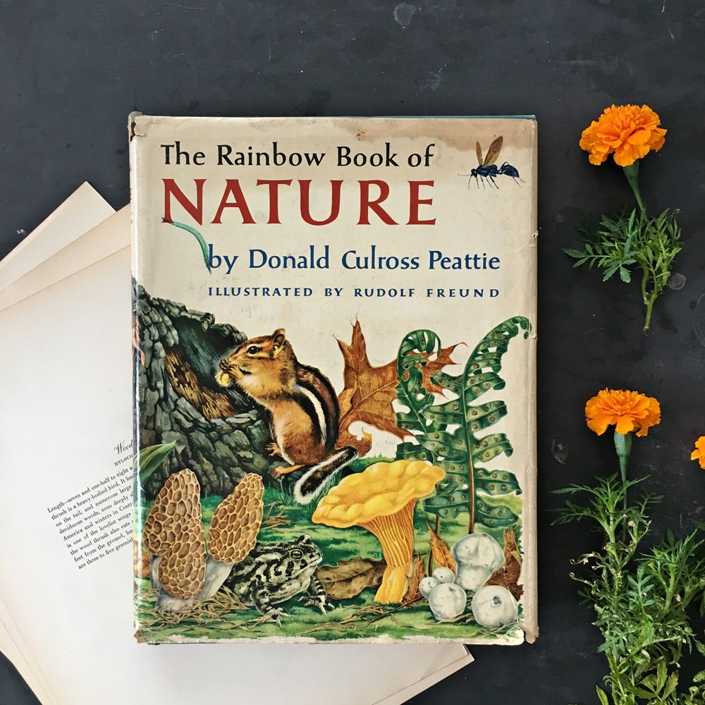 The Rainbow Book of Nature by Donald Culross Peattie - 1957 First Edition Children's Book