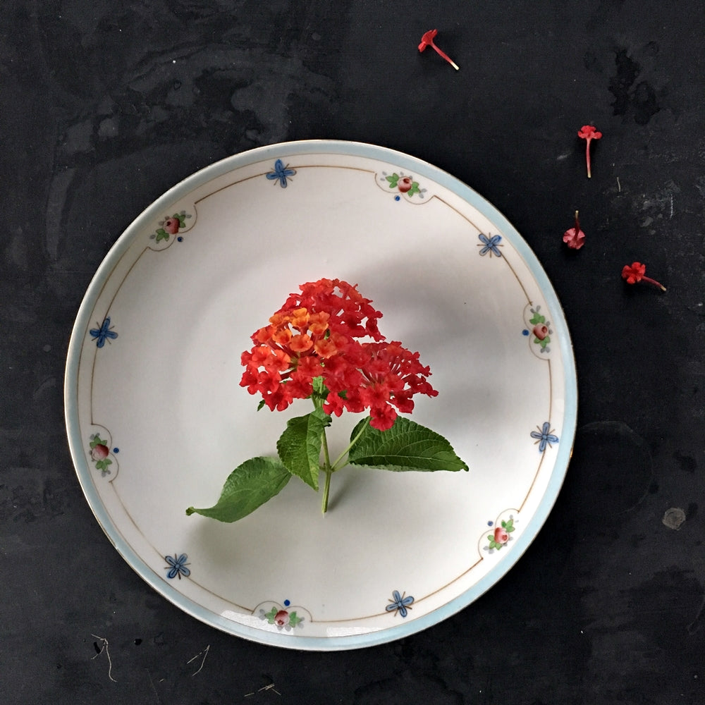 Antique Nippon Porcelain Luncheon Plates - Set of Two Handpainted Floral Dishware