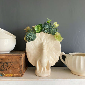 Vintage Peacock Wall Pocket Planter Vase circa 1950s