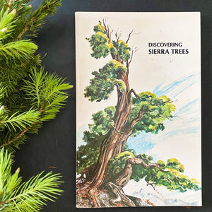 Vintage Pine Tree Identification Book - Discovering Sierra Trees by Stephen Arno circa 1973