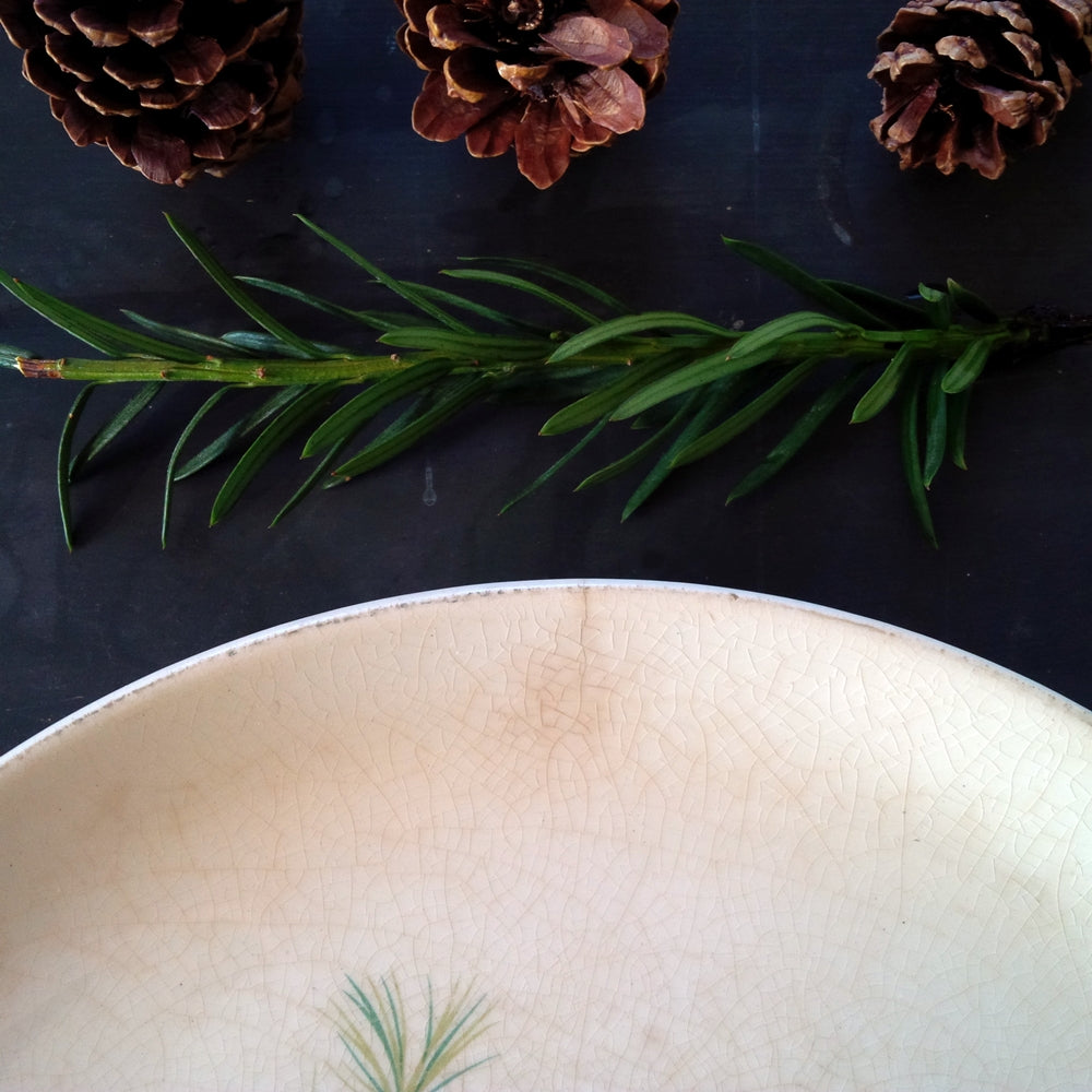 French Saxon Pine Cone Luncheon Plate - Rare 1950's Vintage Dishware