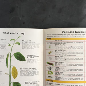 Be Your Own House Plant Expert - Dr. D.G. Hessayon - 1970s Indoor Garden Manual - 2nd Edition