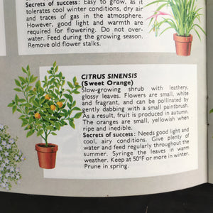 Be Your Own House Plant Expert - Dr. D.G. Hessayon - 1970s Indoor Garden Manual - 2nd Edition