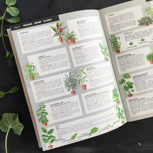 practical house plant book Be Your Own House Plant Expert - Dr. D.G. Hessayon