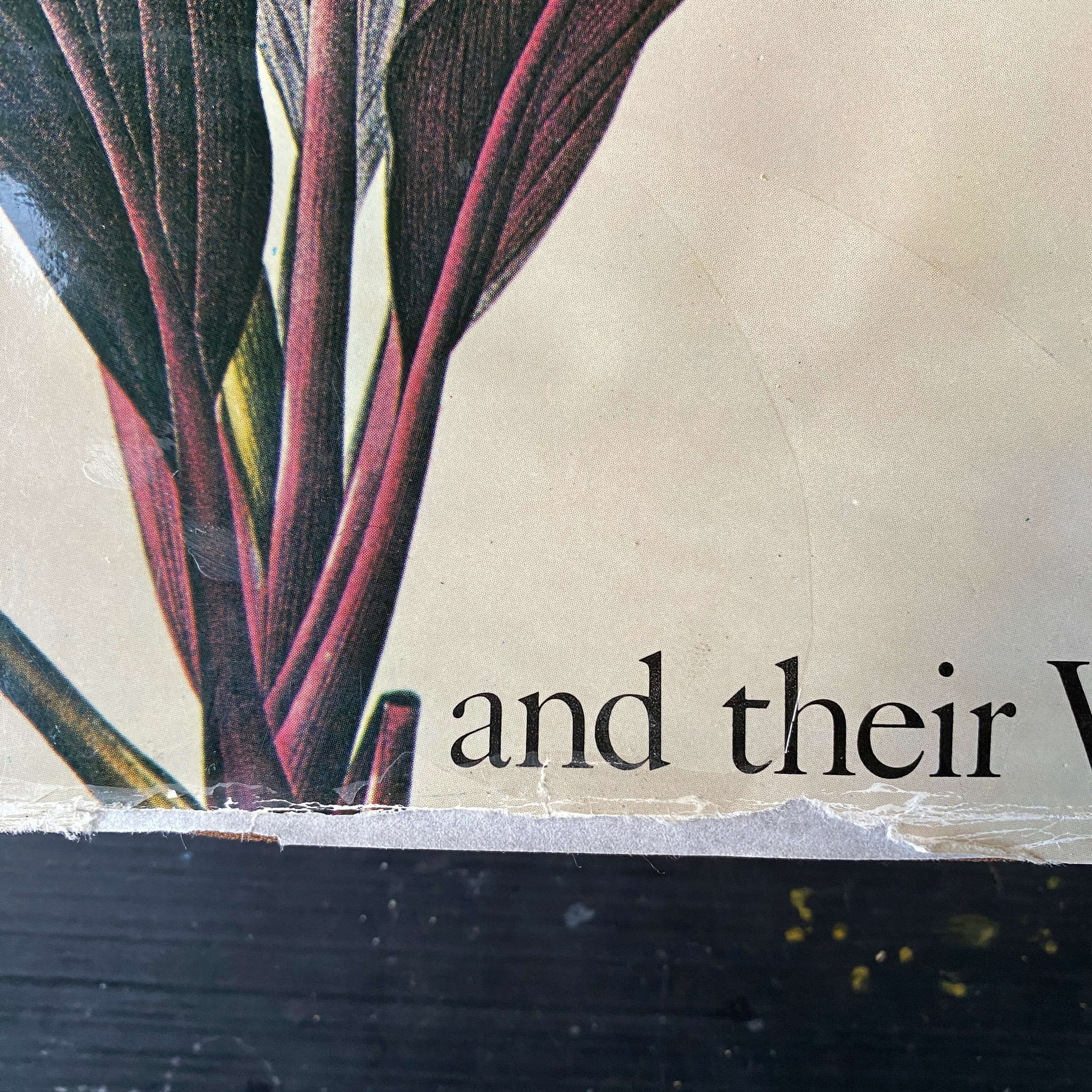 Martin Rix Vintage 1980s Botanical Art Book - The Art of The Plant World - Martin ...
