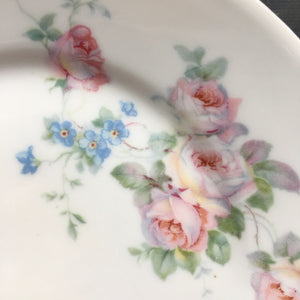 Two Vintage Germany Roman V Bread and Butter Plates - Bavaria Rose Pattern - Made in Germany