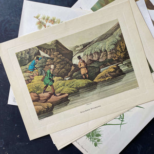 Vintage Salmon Fishing Print - Henry Thomas Alken 19th Century Sporting Print