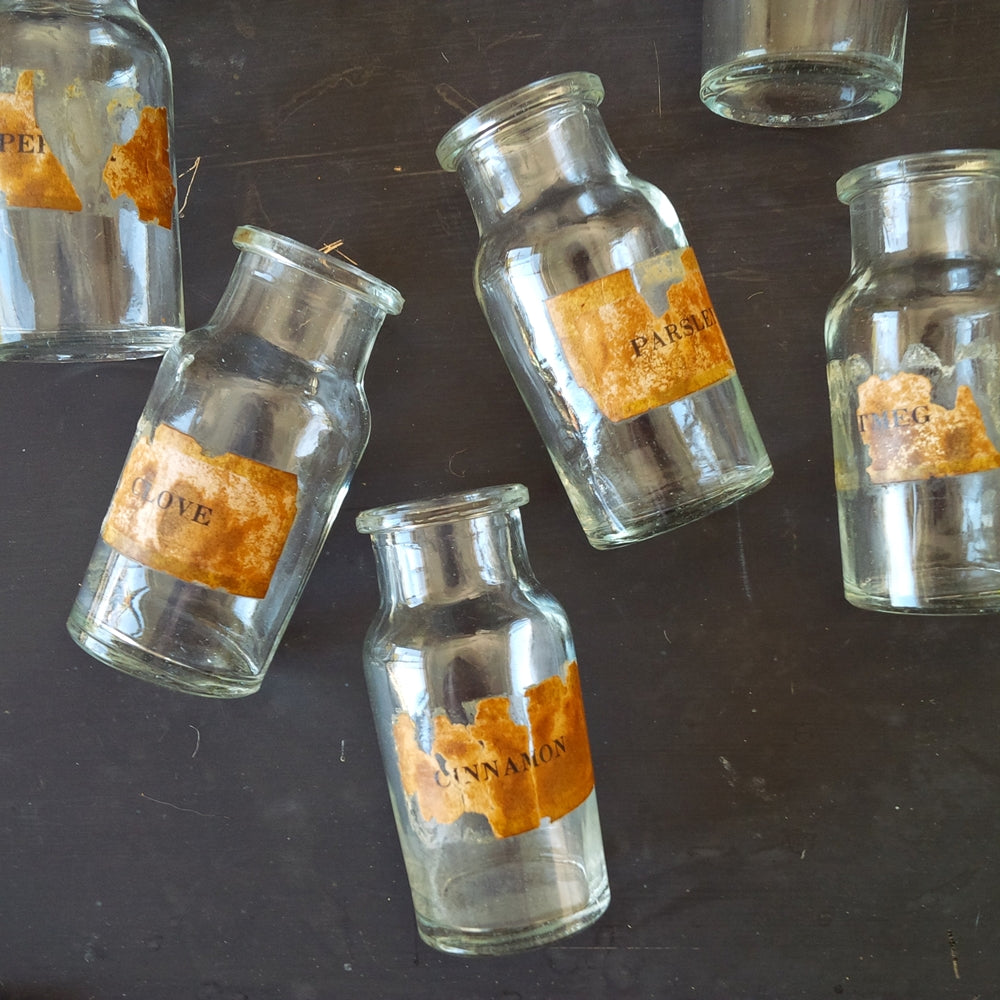 Vintage Glass Spice Bottles - 1970's Kitchen Storage Apothecary Botanical Specimen Bottles - Made in Taiwan