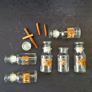Vintage Glass Spice Bottles - 1970's Kitchen Storage Apothecary Botanical Specimen Bottles - Made in Taiwan