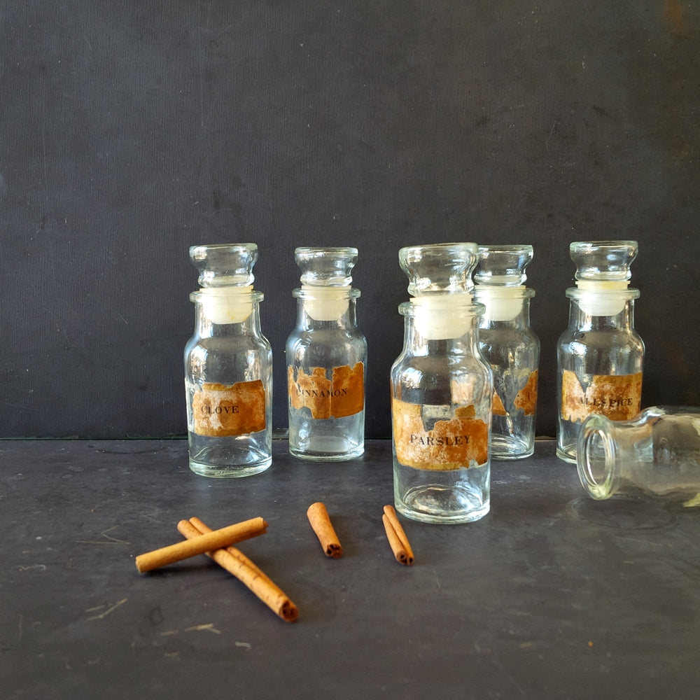 Vintage Glass Spice Bottles - 1970's Kitchen Storage Apothecary Botanical Specimen Bottles - Made in Taiwan