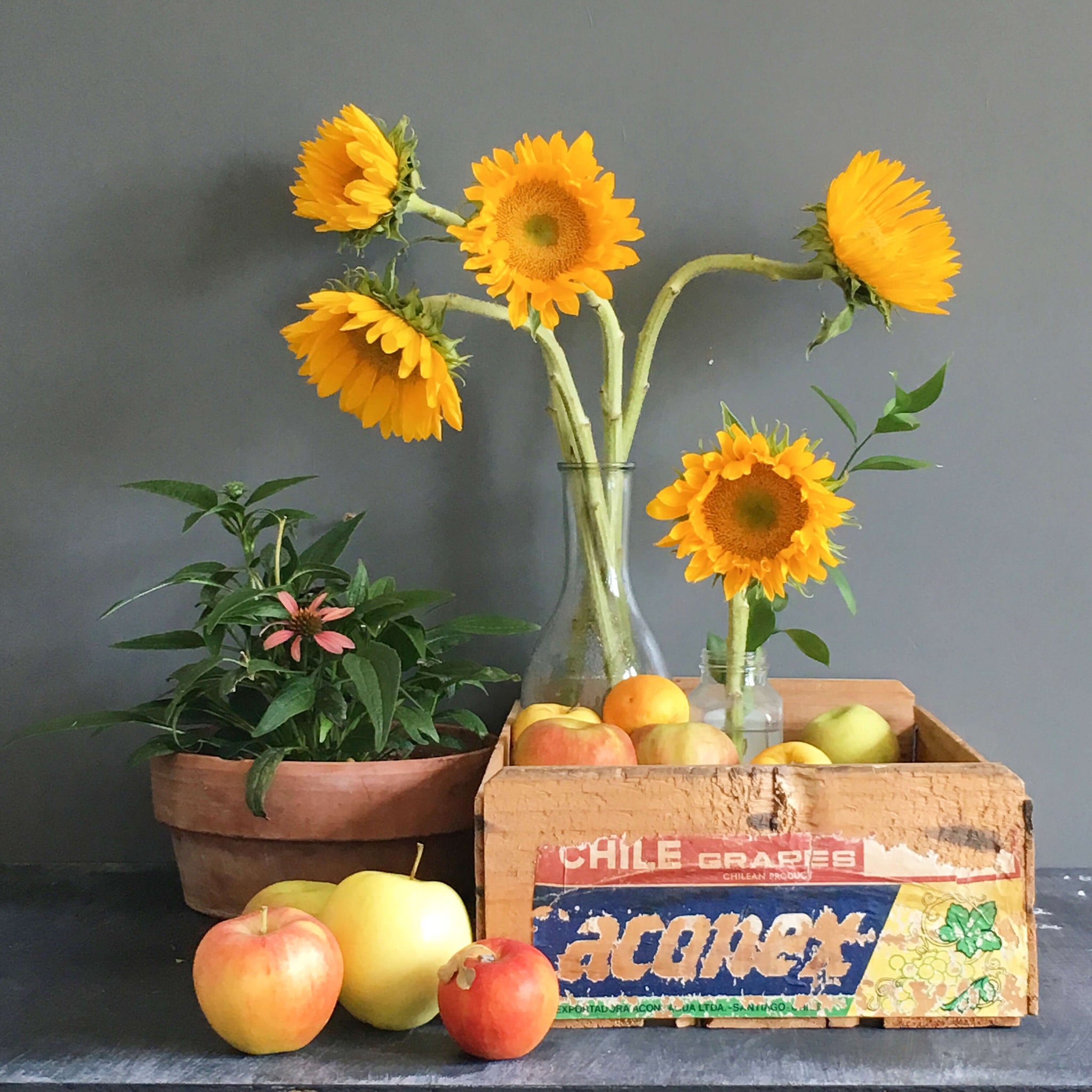 Vintage Wooden Fruit Crate - Aconex Grapes from Chile circa 1970's
