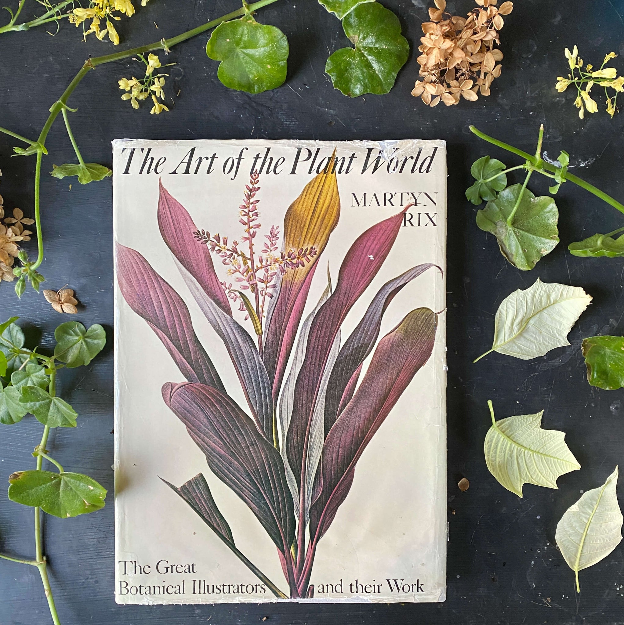 Martin Rix Vintage 1980s Botanical Art Book - The Art of The Plant World - Martin ...