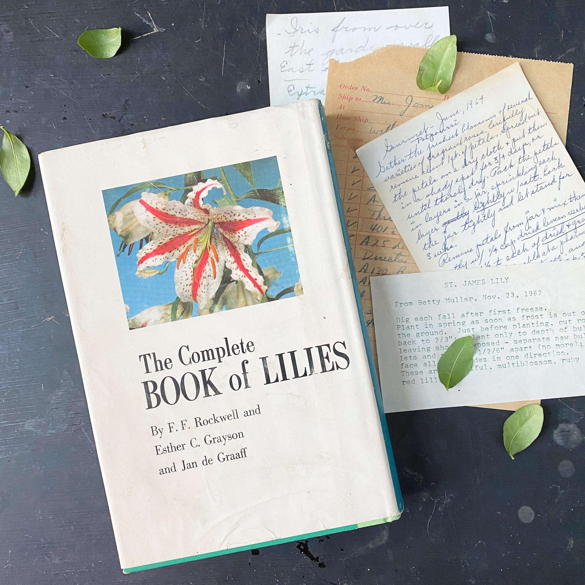 Vintage 1960s Gardening Book - The Complete Book of Lilies by F.F. Rockwell, Esther C. Grayson and Jan deGraff circa 1961