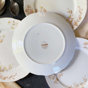 Rare Antique T & R Boote Castelar Dinner Plates - Set of Four circa 1890-1906