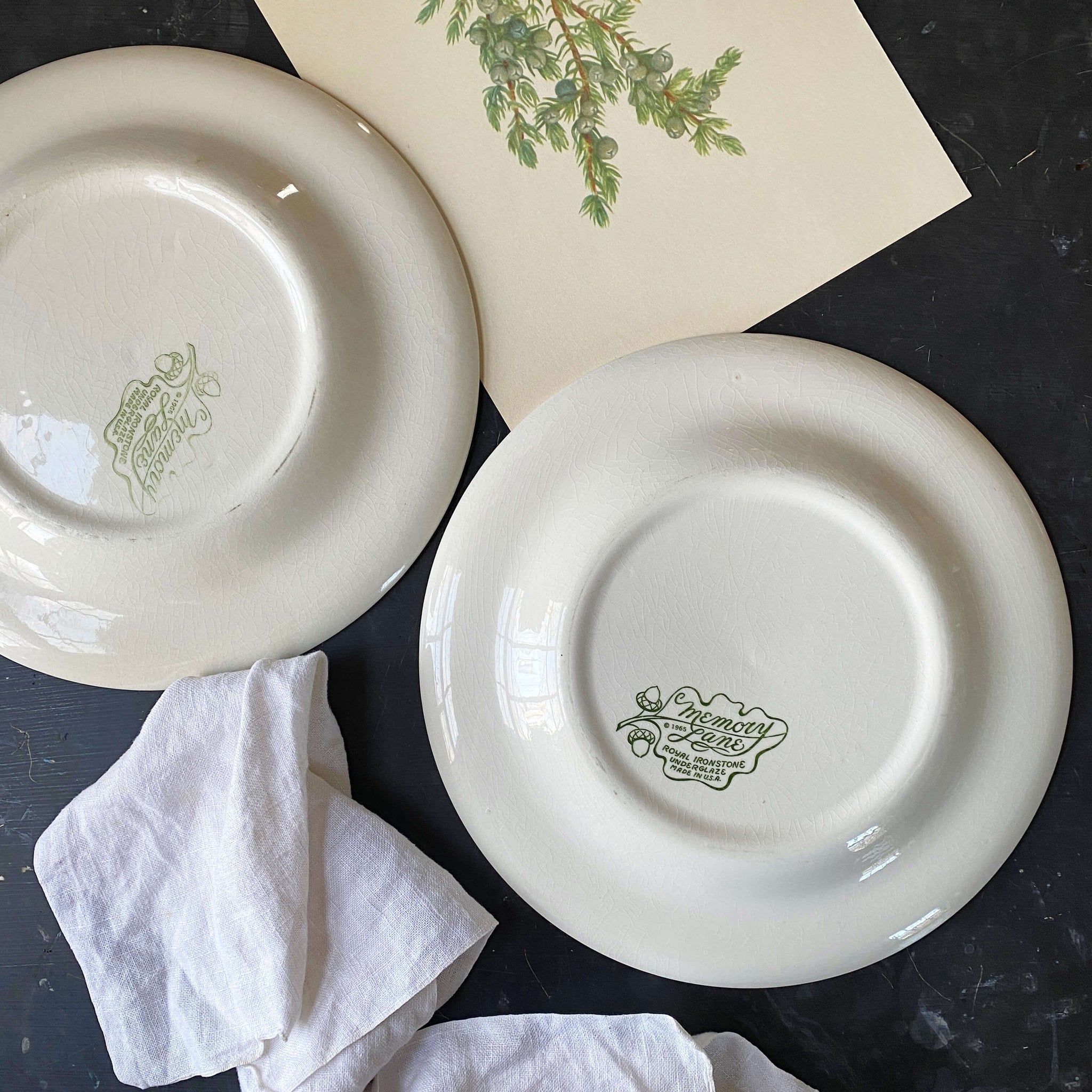 Vintage 1960s Memory Lane Dinner Plates - Set of Two by Royal China circa 1965