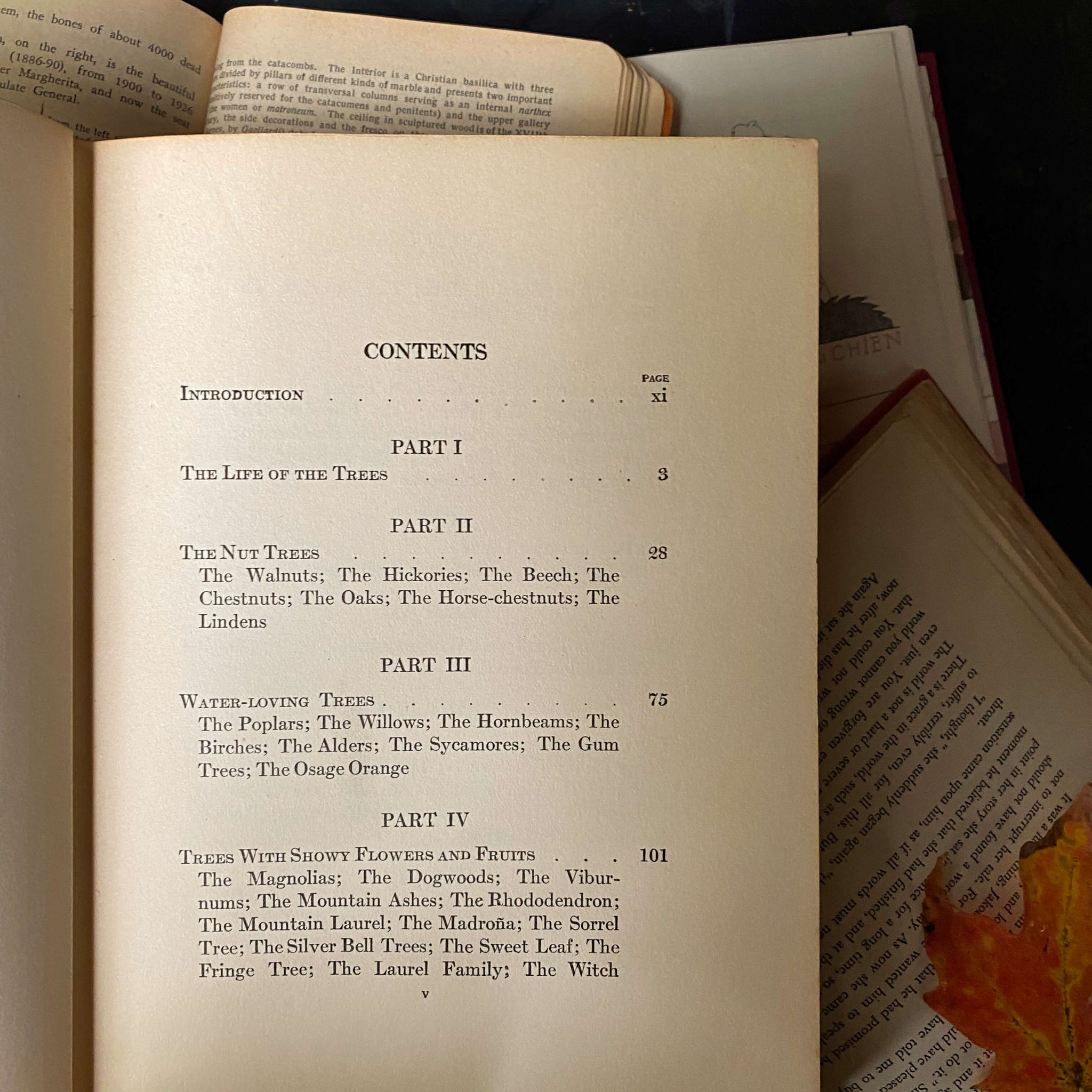 Vintage 1920s Tree Identification Book Trees By Julia Ellen Rogers C Vintage 1920s tree identification book trees by julia ellen rogers c