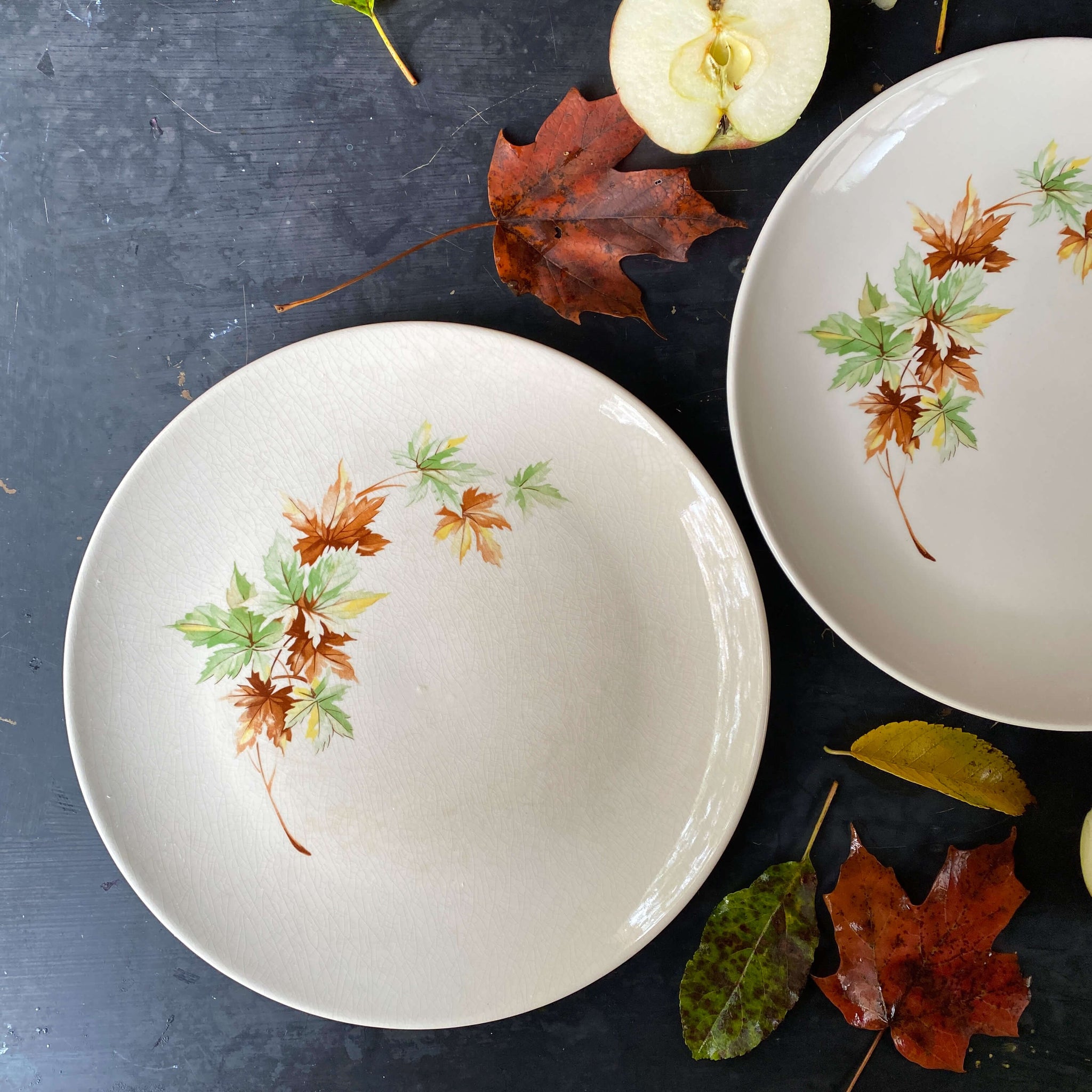 Vintage 1960s Maple Leaf Dinner Plates by Salem - Reserved for Teri