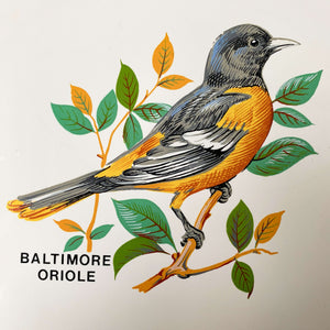 Vintage Baltimore Oriole Ceramic Tile Trivet - Botanical Bird Portrait