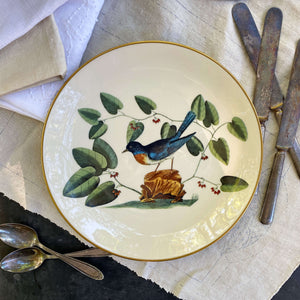 Vintage Bluebird Dinner Plate - Mark Catesby Botanical Series circa 1970s