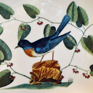 Vintage Bluebird Dinner Plate - Mark Catesby Botanical Series circa 1970s