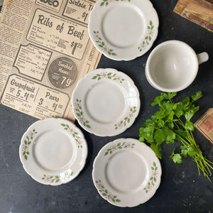 Vintage Dogwood Restaurant Ware Bread Plates by Buffalo China circa 1948-1962 - Set of Four