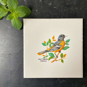 Vintage Baltimore Oriole Ceramic Tile Trivet - Botanical Bird Portrait