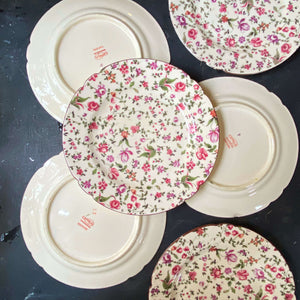Rare Antique Floral Chintz Luncheon Plates - Set of Six - Made in Czechoslovakia circa 1918-1921