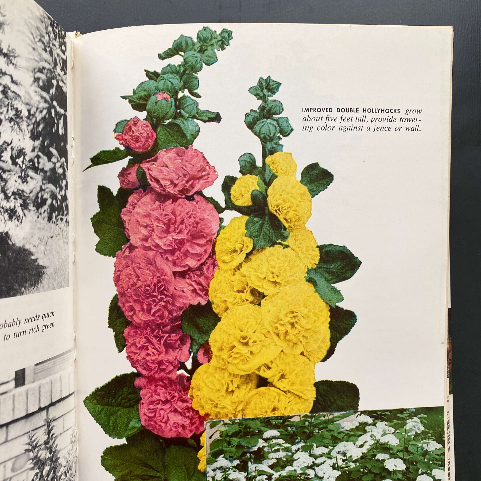 Samm Baker's Clear & Simple Gardening Handbook - 1964 Edition