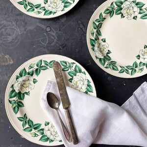 Vintage 1950s Homer Laughlin White Rose Dinner Plates - Set of 7 - Nassau Pattern Eggshell Nautlius circa 1953