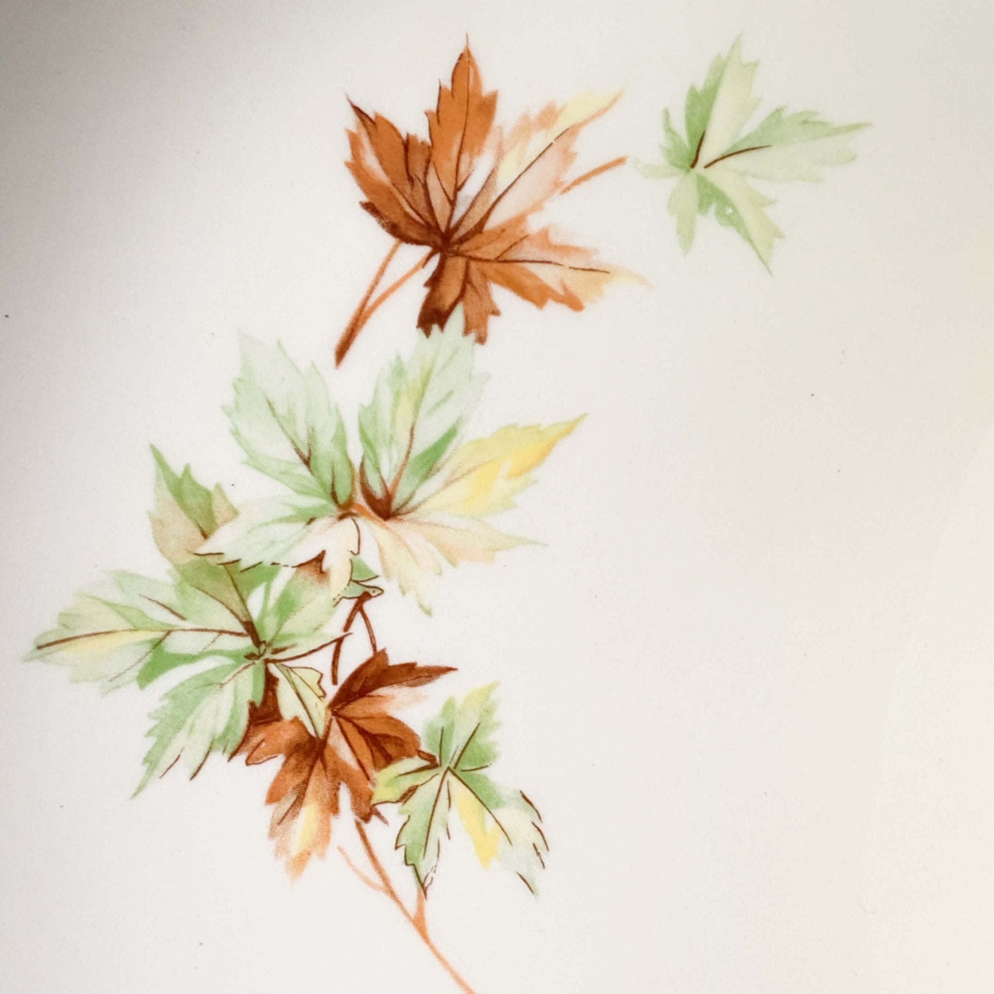 Vintage Maple Leaf Salad Plates by Salem China Co circa 1965